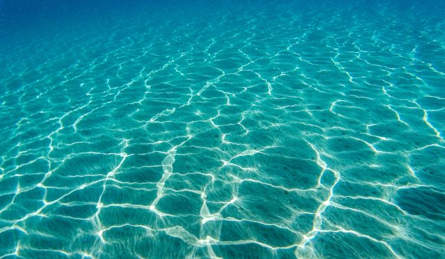 Ayvalık Dalış 2024 Seçenekleri 13 Ayvalık dalış alanları