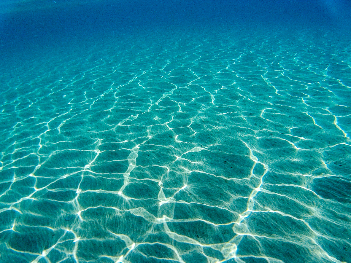 Ayvalık Dalış 2024 Seçenekleri