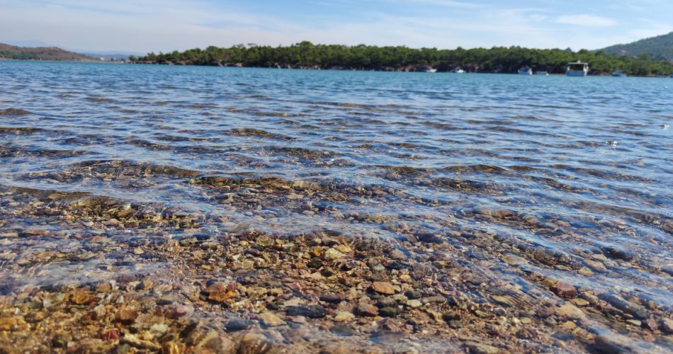 2024 yılında Ayvalık Denizi'nin en güzel plajları arasında Sarımsaklı Plajları ön plana çıkacak.