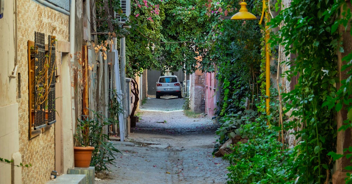 Ayvalık Pansiyonlarında Unutulmaz Bir Tatil İçin Hangi Seçenekleri Değerlendirmeli?